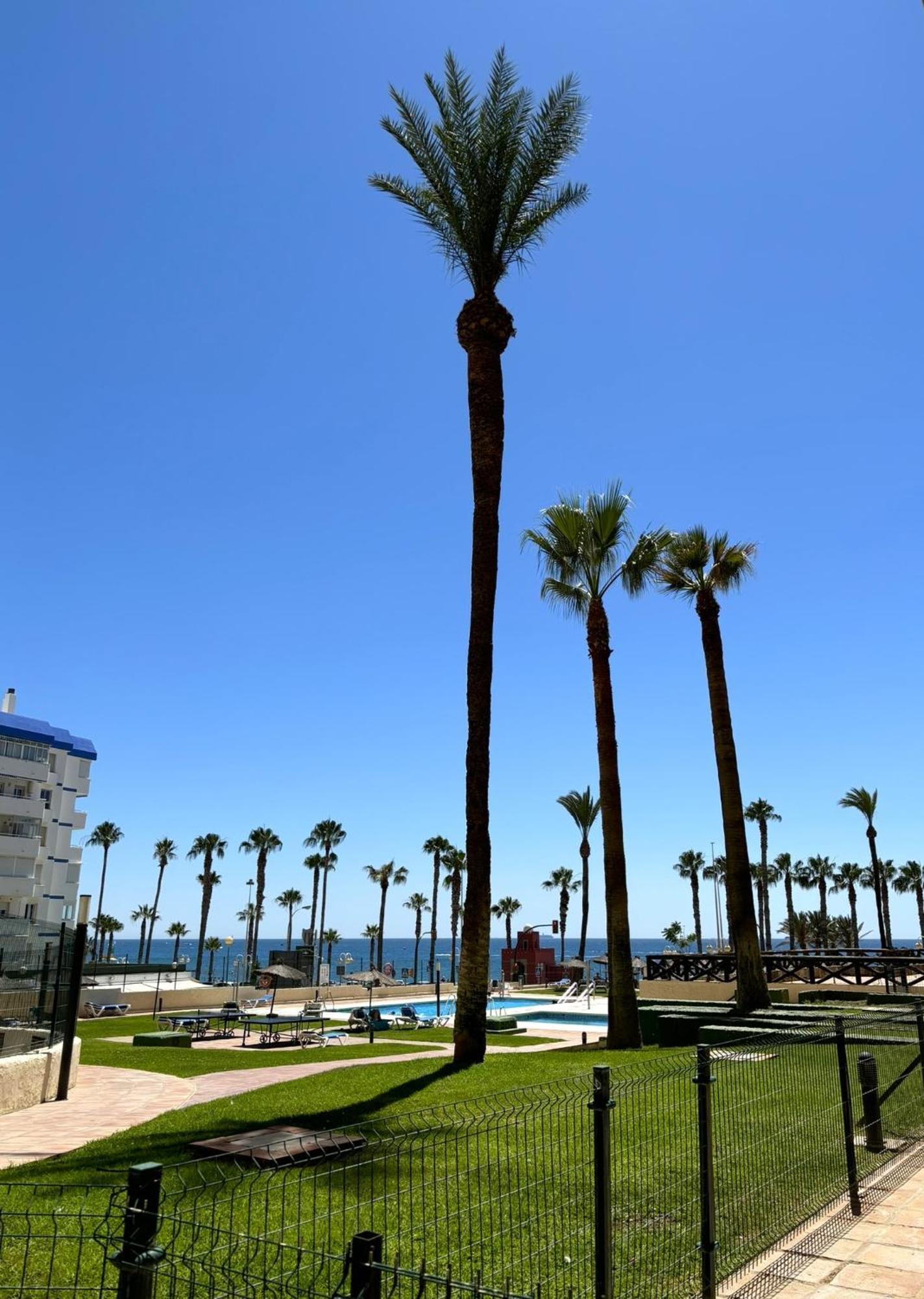 Appartement Aloha Playa Vistas Al Mar à Benalmádena Extérieur photo